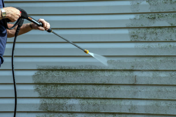 Best Roof Pressure Washing  in Shanor Northvue, PA